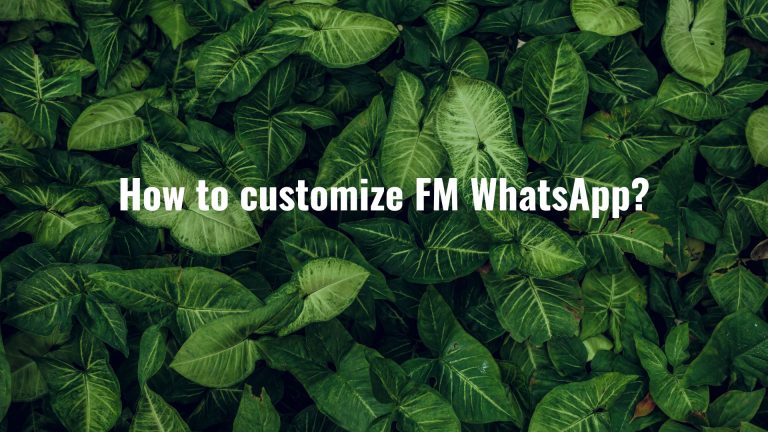 How to customize FM WhatsApp